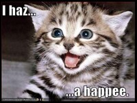 Cat Meme Tweet Translators