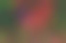 Unfolding Handbag Blankets