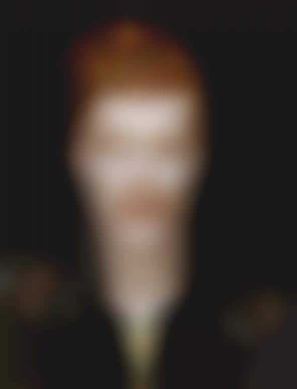 Ginger Gentleman Portraits