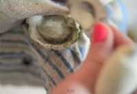 Crustacean Consumption Tutorials Image 8