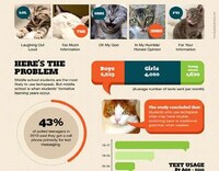 Excessive Texting Infographics Image 2