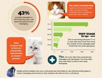 Excessive Texting Infographics Image 3