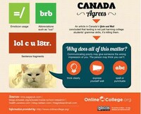 Excessive Texting Infographics Image 5