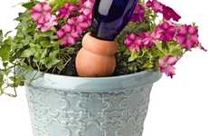 Root-Reaching Water Vessels