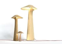 Mushroom-Like Lighting Image 2