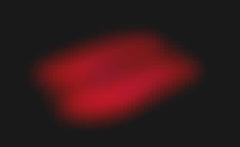 Bicoastal All-Star Sneakers