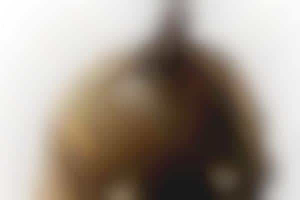 Zoomed Wild Animal Photography