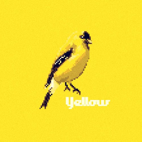 16 Beautiful Bird Illustrations
