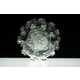 Delicate Glass Viruses Image 2