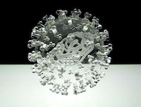 Delicate Glass Viruses Image 3
