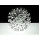 Delicate Glass Viruses Image 3