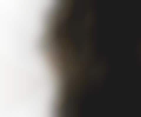 Intimate Animal Portraits