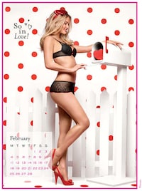 Pin-Up Housewife Campaigns (UPDATE) Image 3