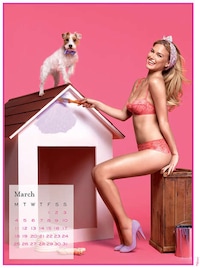 Pin-Up Housewife Campaigns (UPDATE) Image 7