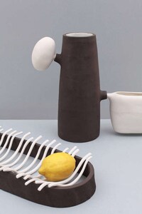 Peculiar Paleontological Dishes Image 3