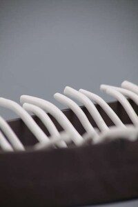 Peculiar Paleontological Dishes Image 8