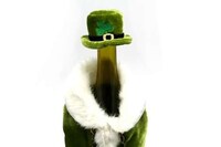 Shamrock Bottle Covers