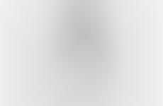 Pristine White Photoshoots