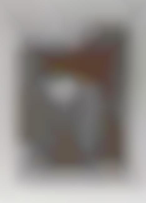 Prism-Seamed Photographs