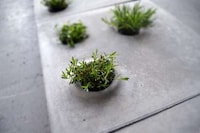 Planter-Inspired Sidewalks Image 2