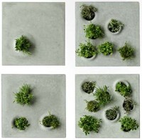 Planter-Inspired Sidewalks Image 5