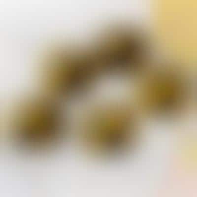 Buzzing Bee Chocolate Confections