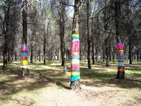 Vivifying Color Shapes Graffiti Image 2