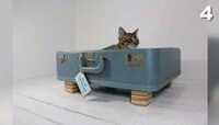Stylish Feline Furniture Image 8