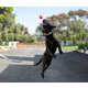 Airborne Pooch Photo Shoots Image 2