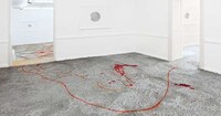 Color-Drenched Performance Installations Image 8