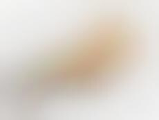 Dual-Threat Disaster Devices : Universal Rescue Equipment