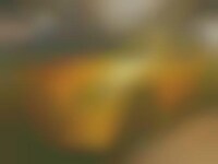 Solid Gold Supercar Killers Image 1