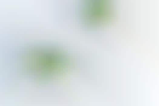 Wallpaper-Embedded Fixtures