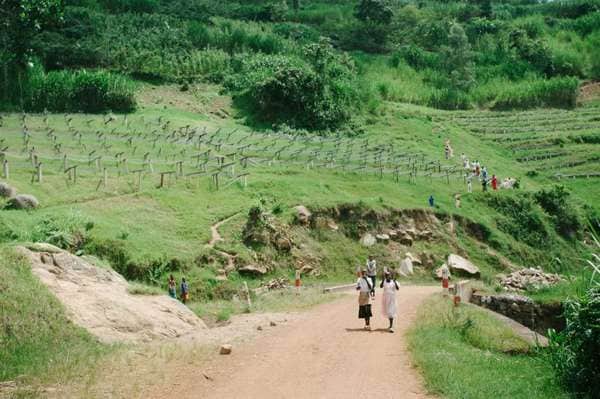 Fair Trade Consumer Coffee Tours