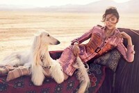 Couture Caravan Captures Image 4
