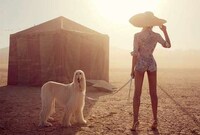 Couture Caravan Captures Image 8