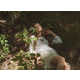 Whimsical Woodland Lookbooks Image 2