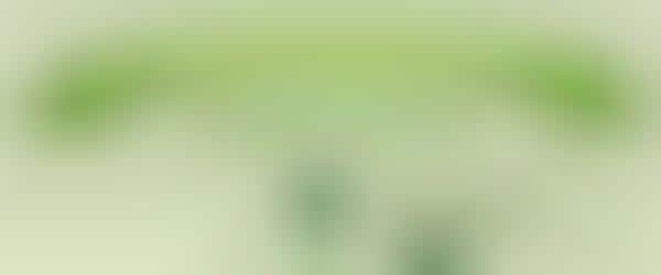 Gleeful Green Fashions Infographics