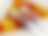 Delectable Pizza Salves Image 1