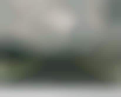 Natural Disaster Auto Ads