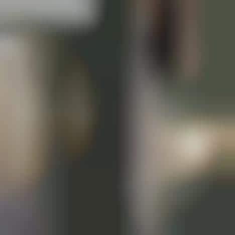 Sleek Minimalist Reading Shelves