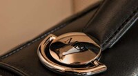 Luxurious Portable Safes Image 7