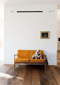 Stylish Sustainable Housing Image 8