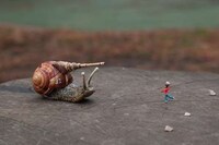 Playful War Scenario Captures Image 3