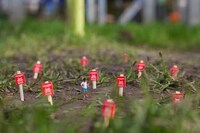 Playful War Scenario Captures Image 5