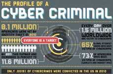 Cyber Criminal Profile Infographics