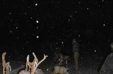 Reindeer Sledding Tours