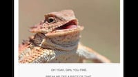 Precious Personified Pets Image 5