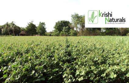 Indian Organic Farming Promotion