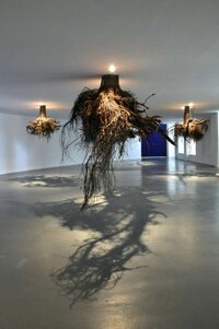 Suspended Tree Root Installations Image 2